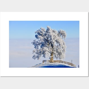 Winter Tree Landscape / Swiss Artwork Photography Posters and Art